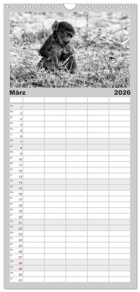 Produktbild: Familienplaner 2026 - Afrika Schwarz - Weiss mit 5 Spalten (Wandkalender, 21 x 45 cm) CALVENDO