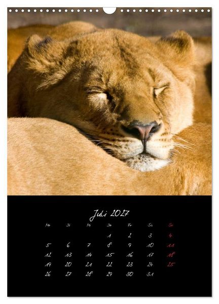Produktbild: Tiere (Wandkalender 2027 DIN A3 hoch), CALVENDO Monatskalender