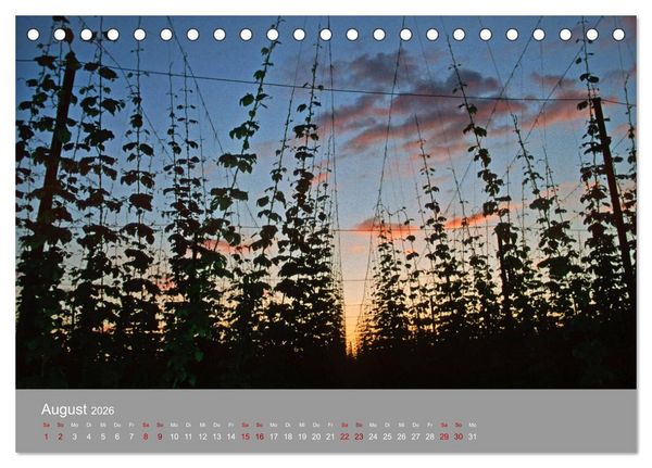 Produktbild: Hallertau (Tischkalender 2026 DIN A5 quer), CALVENDO Monatskalender