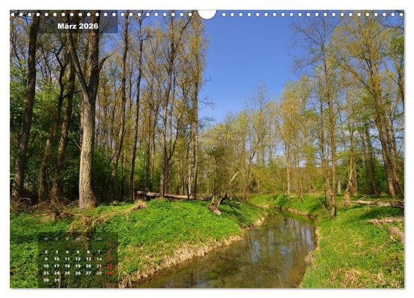 Produktbild: Zauberhafte Waldlandschaften (Wandkalender 2026 DIN A3 quer), CALVENDO Monatskalender
