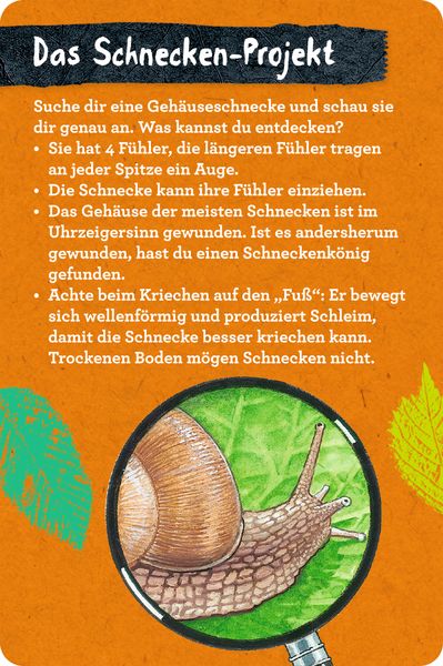 Produktbild: 50 Insekten, Spinnen & Co. - Nature Zoom (Blechdose)