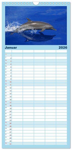 Produktbild: Familienplaner 2026 - Delfine - L&auml;chelnde Intelligenz mit 5 Spalten (Wandkalender, 21 x 45 cm) CALVENDO