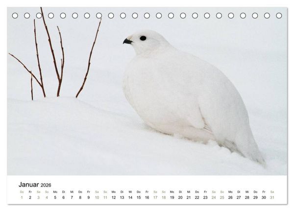Produktbild: Einblick-Natur: Finnland nat&uuml;rlich (Tischkalender 2026 DIN A5 quer), CALVENDO Monatskalender