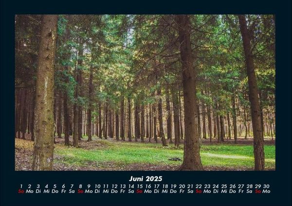 Produktbild: Waldzauber 2025 Fotokalender DIN A4