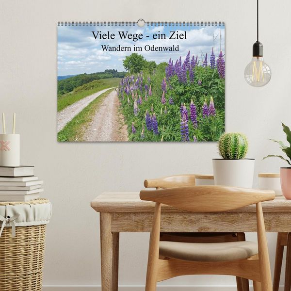 Produktbild: Viele Wege - ein Ziel Wandern im Odenwald (Wandkalender 2026 DIN A3 quer), CALVENDO Monatskalender