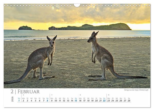 Produktbild: Australien - Highlights Ostk&uuml;ste (Wandkalender 2026 DIN A3 quer), CALVENDO Monatskalender