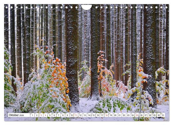 Produktbild: B&auml;ume sind Tr&auml;ume (Wandkalender 2026 DIN A4 quer), CALVENDO Monatskalender