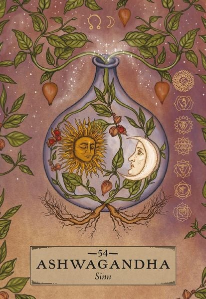 Herbal Astrology Orakel: 55 Karten mit Botschaften und Anleitungen