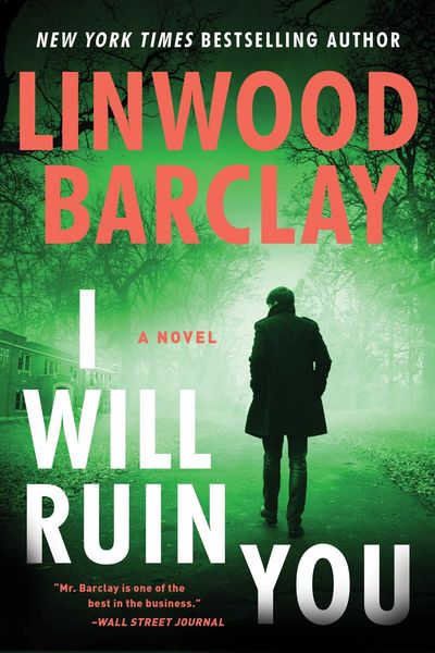 Produktbild: I Will Ruin You