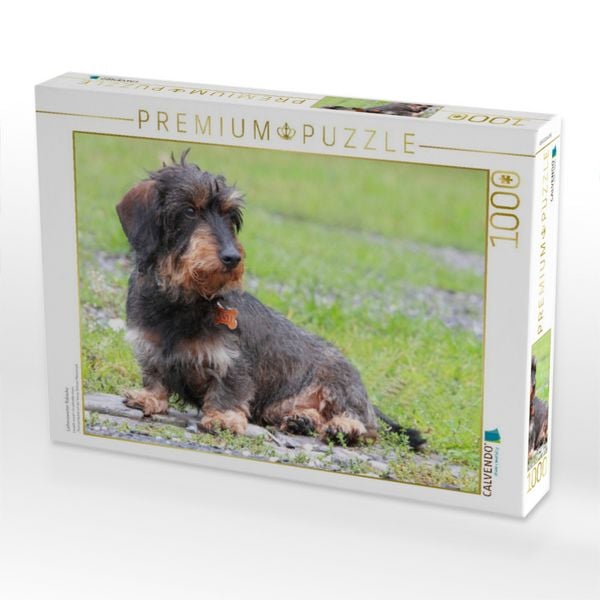 Produktbild: CALVENDO Puzzle Liebenswerter Rabauke | 1000 Teile Lege-Gr&ouml;&szlig;e 64x48cm Foto-Puzzle f&uuml;r gl&uuml;ckliche Stunden