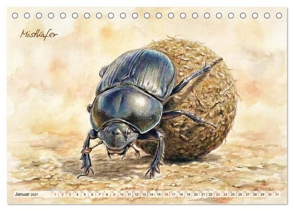 Produktbild: Kleine Wunder in Aquarell - Heimische Insekten kunstvoll illustriert (Tischkalender 2027 DIN A5 quer), CALVENDO Monatskalender