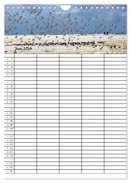 Produktbild: Urlaubsparadies Amrum / Familienplaner (Wandkalender 2026 DIN A4 hoch), CALVENDO Monatskalender