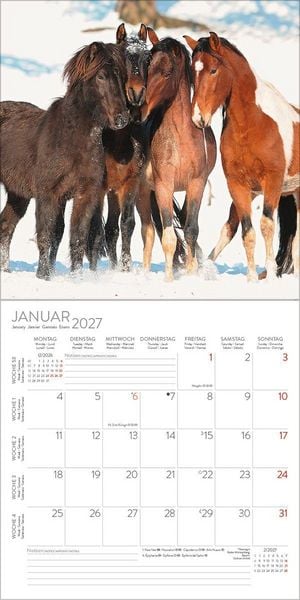 Produktbild: Horses 2027