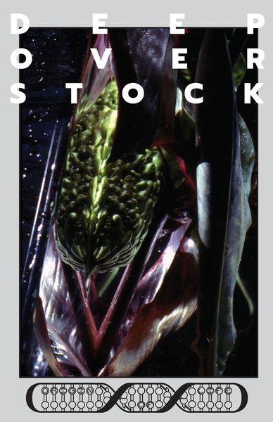 Produktbild: Deep Overstock Issue 10