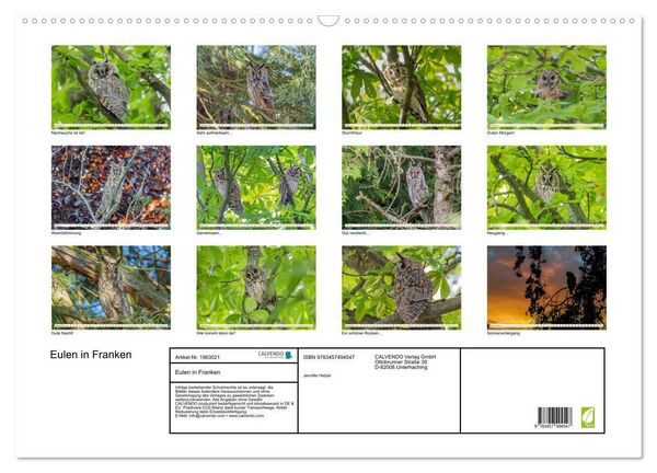 Produktbild: Eulen in Franken (Wandkalender 2026 DIN A2 quer), CALVENDO Monatskalender