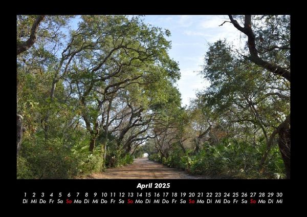 Produktbild: B&auml;ume 2025 Fotokalender DIN A3
