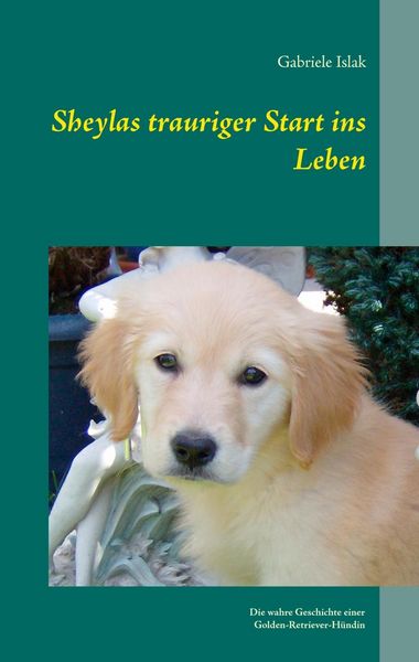 Produktbild: Sheylas trauriger Start ins Leben