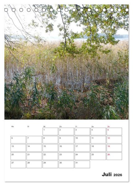 Produktbild: Rheinsberg mit Hafendorf (Tischkalender 2026 DIN A5 hoch), CALVENDO Monatskalender
