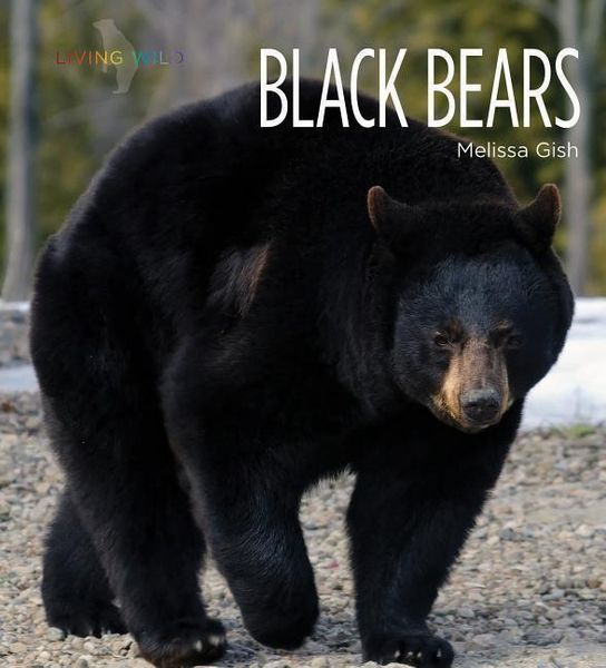 Produktbild: Black Bears