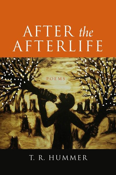 Produktbild: After the Afterlife