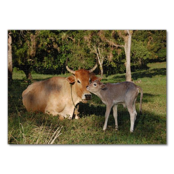Produktbild: Lais Puzzle Kuh mit Kalb 500 Teile