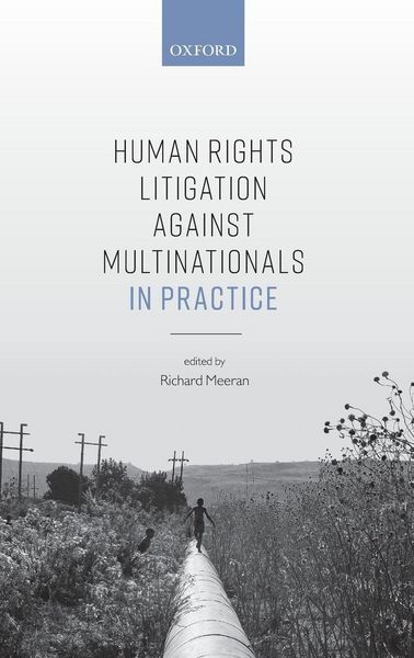 Produktbild: Human Rights Litigation Against Multinationals in Practice