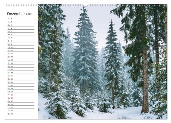 Produktbild: Gr&uuml;ne Zukunft (Wandkalender 2026 DIN A2 quer), CALVENDO Monatskalender