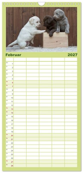 Produktbild: Familienplaner 2027 - Labrador Welpen mit 5 Spalten (Wandkalender, 21 x 45 cm) CALVENDO