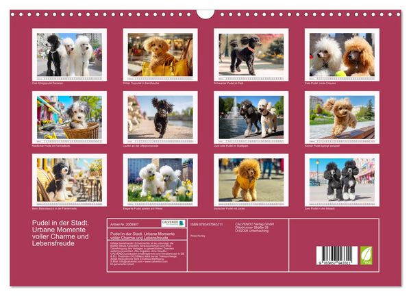 Produktbild: Pudel in der Stadt. Urbane Momente voller Charme und Lebensfreude (Wandkalender 2026 DIN A3 quer), CALVENDO Monatskalender