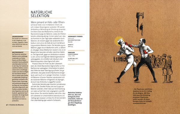 Produktbild: Wissenschaftliche Theorien in 30 Sekunden