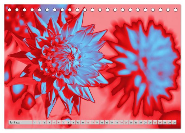 Produktbild: Blumen Pop-Art (Tischkalender 2027 DIN A5 quer), CALVENDO Monatskalender