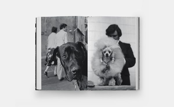 Produktbild: Hunde lieben