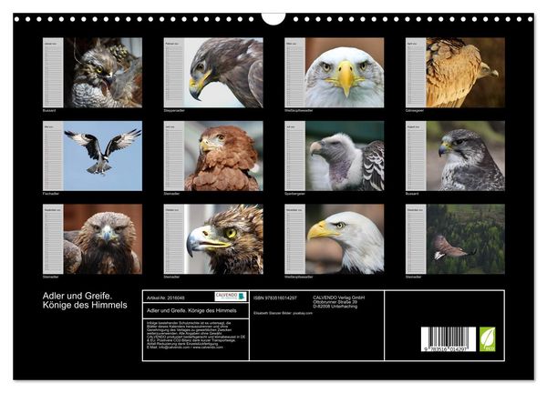 Produktbild: Adler und Greife. K&ouml;nige des Himmels (Wandkalender 2026 DIN A3 quer), CALVENDO Monatskalender