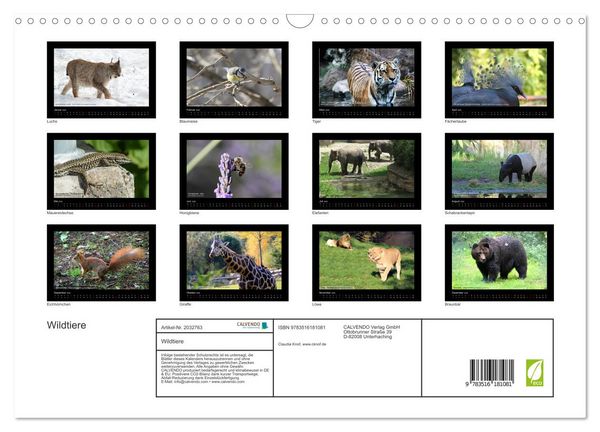 Produktbild: Wildtiere (Wandkalender 2026 DIN A3 quer), CALVENDO Monatskalender