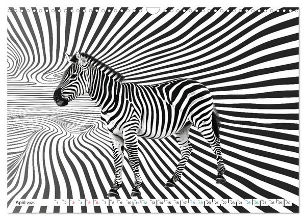 Produktbild: ZEBRAS - Modern Art (Wandkalender 2026 DIN A3 quer), CALVENDO Monatskalender