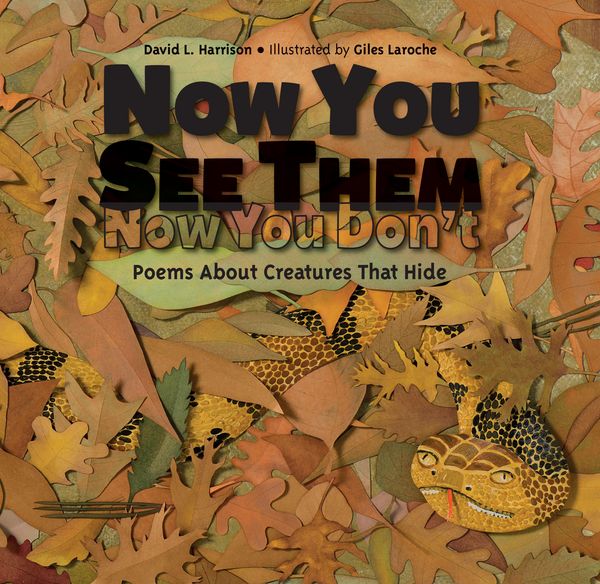 Produktbild: Now You See Them, Now You Don't