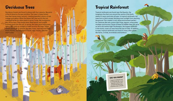 Produktbild: The Little Book of Trees