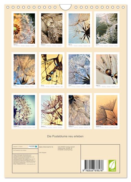 Produktbild: Die Pusteblume neu erleben (Wandkalender 2026 DIN A4 hoch), CALVENDO Monatskalender