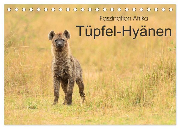Produktbild: Faszination Afrika: T&uuml;pfel-Hy&auml;nen (Tischkalender 2026 DIN A5 quer), CALVENDO Monatskalender