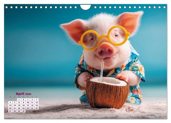 Produktbild: Vom Gl&uuml;ck, ein Schweinchen zu sein (Wandkalender 2026 DIN A4 quer), CALVENDO Monatskalender