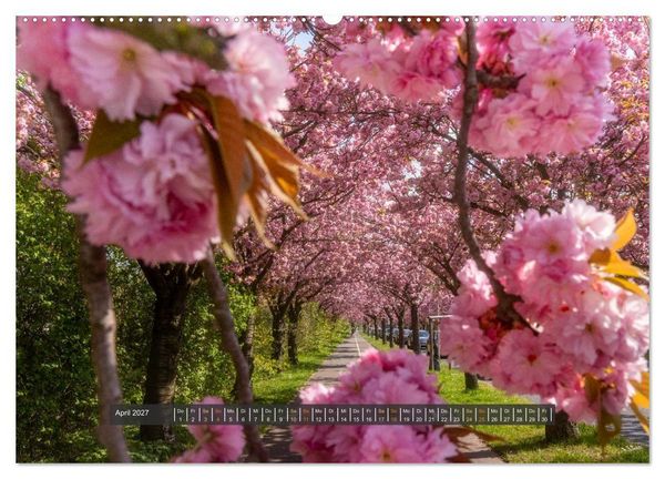 Produktbild: Magdeburg entdecken (Wandkalender 2027 DIN A2 quer), CALVENDO Monatskalender