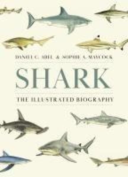 Produktbild: Shark