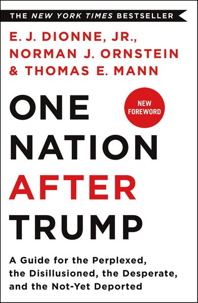 Produktbild: One Nation After Trump