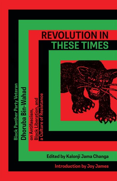 Produktbild: Revolution In These Times