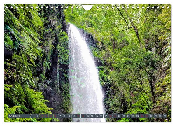 Produktbild: La Palma - Gr&uuml;ne Trauminsel im Atlantik (Wandkalender 2026 DIN A4 quer), CALVENDO Monatskalender