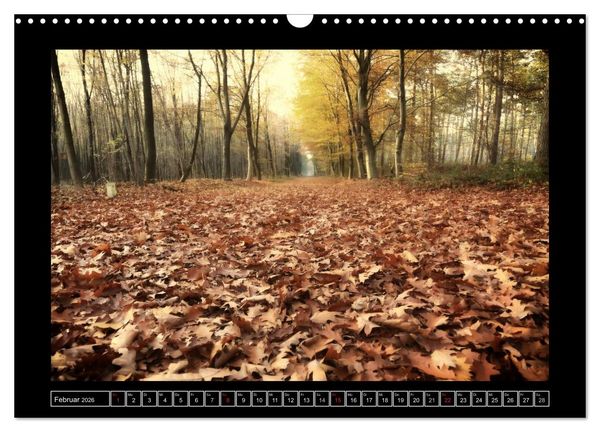 Produktbild: Der Reichswald bei Kleve (Wandkalender 2026 DIN A3 quer), CALVENDO Monatskalender