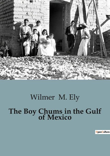 Produktbild: The Boy Chums in the Gulf of Mexico