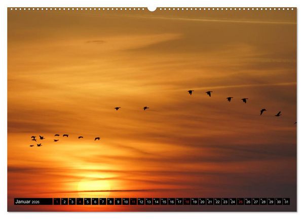 Produktbild: Sylt ist Meer (Wandkalender 2026 DIN A2 quer), CALVENDO Monatskalender