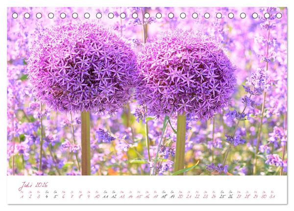 Produktbild: Bl&uuml;tentr&auml;ume in violett und pink (Tischkalender 2026 DIN A5 quer), CALVENDO Monatskalender