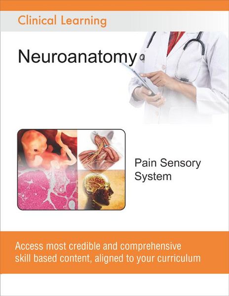 Produktbild: Pain Sensory System